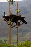 Zip Line