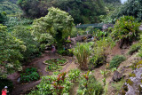 Iao Needle State Park