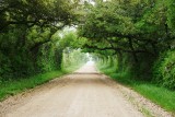 Affleck Road