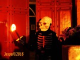 MATROR 2016