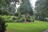 Cenral Park
