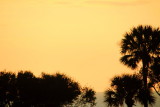 Sunrise screensaver
