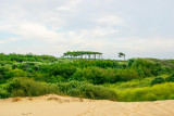 Formby, Sefton Coast, England