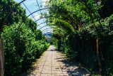 Mirabellgarten, Sound of Music location, Salzburg, Austria