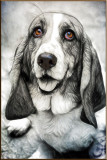 Retouch PRO