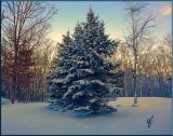 After the Snow