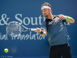 Fabio Fognini, 2014