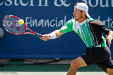 Lleyton Hewitt, 2014