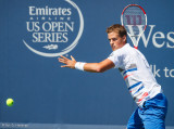 Vasek Pospisil, 2014