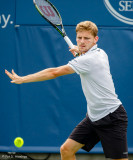 David Goffin, 2015