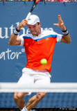 Roberto Bautista Agut, 2016