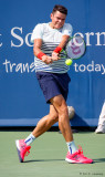 Milos Raonic, 2016