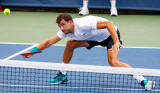 Grigor Dimitrov, 2016