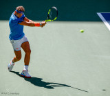 Shadow Nadal