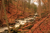 BORER'S FALLS