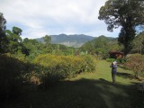 Panama March 12-19, 2015