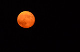 Close View of Almost Harvest Moon