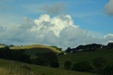 White Puffs, Lit Hills