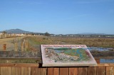Hamilton Wetlands Sign