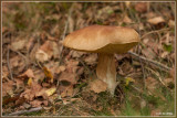 IMG_4369kopie.jpg