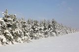 WInter zima_MG_0315-111.jpg