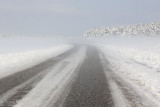 Hazy road meglica na cesti_MG_0308-1111.jpg