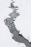 Stream potok_MG_1064-11.jpg