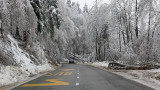 After sleet po žledu_MG_0480-111.jpg