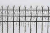Ice fence ledena ograja_MG_1242-111.jpg