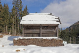 Corn-rack kozolec_MG_80781-111.jpg