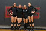 2014 Heidelberg Women's Volleyball vs Wilmington