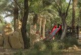 Hajer Garden, waiting for somebody to play