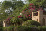 Al Khozama Garden, colorful wall