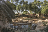 Al Nafel Garden