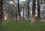 Al Taleh Garden