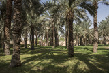 Al Aarrudh Garden