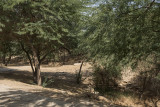 Al Rayhaan Garden