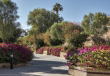 Another walkway park