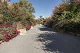 Another walkway park