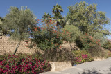 Another walkway park