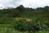 South-west of Tenom