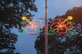 Hibiscus street lights