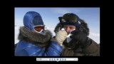 Survival with NASTC, Puvirnituq, march 2007