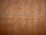 Desert.jpg