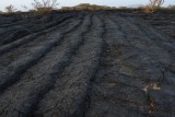 Lava fields around Wa'aba Crater.jpg