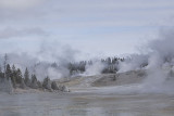 Yellowstone