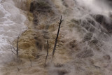 Yellowstone