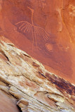 Bird petroglyph, UT