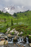 Creek and flowers, Paradise Meadow, Mt. Rainier National Park, WA
