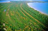 (CG3) Beach ridges on Lake Michigan shoreline, The Ridges Sanctuary, Door County, WI